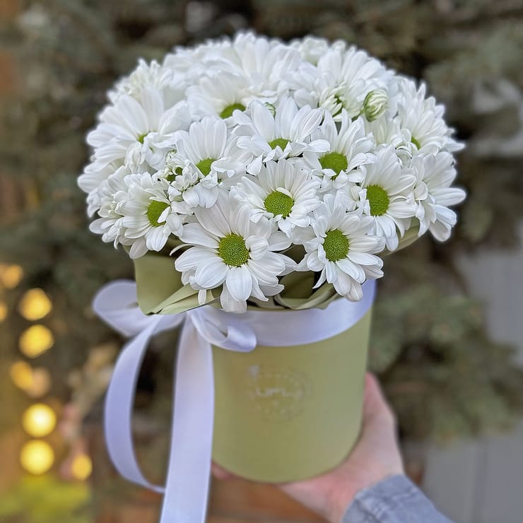 Tenderness  – flower delivery in Murovanye Kurilovcy