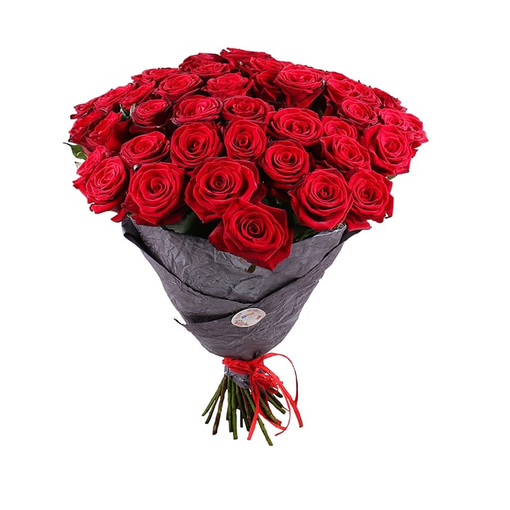51 red roses – flower delivery in Volnyansk