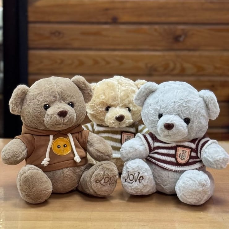 Teddy bear in a sweater 1 шт. – flower delivery in Gujva