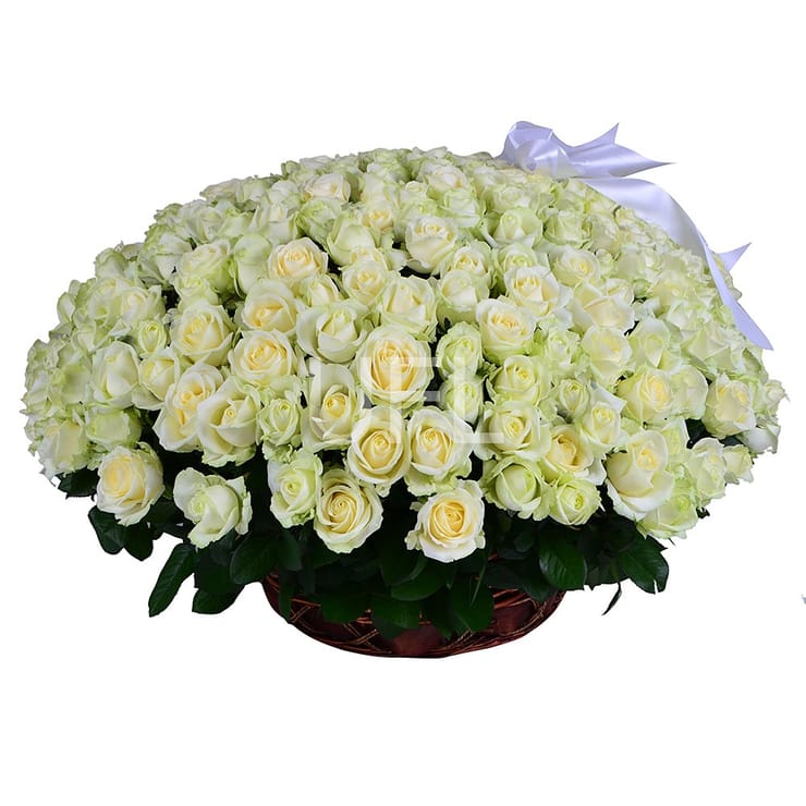 Корзина цветов 301 роза – доставка цветов в Черневцы