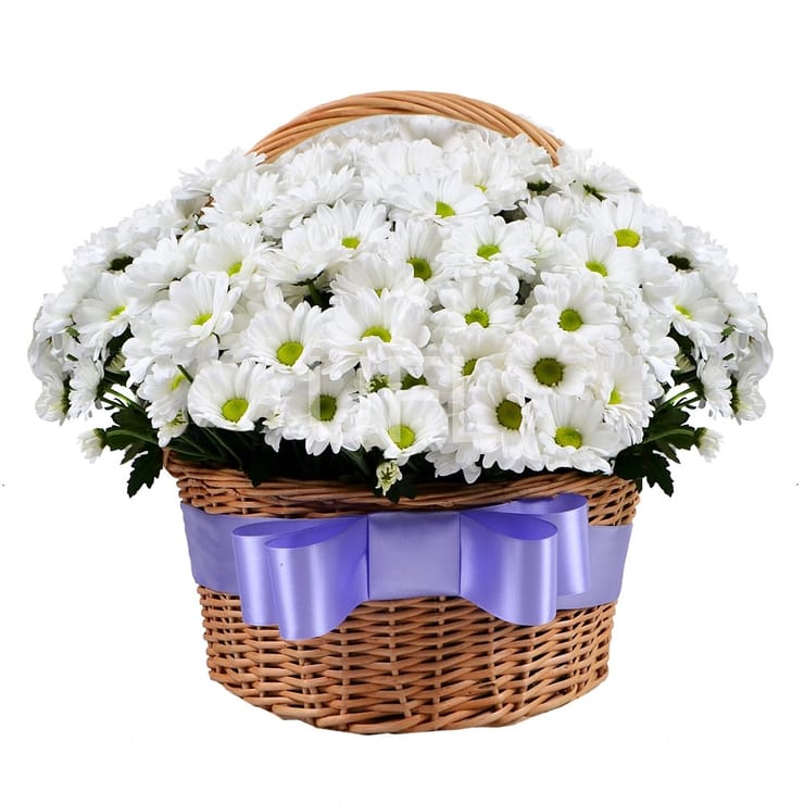 Букет квітів Ромашкове поле – доставка квітів у Анкара