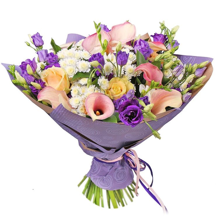 Generous gentleman, Brovari