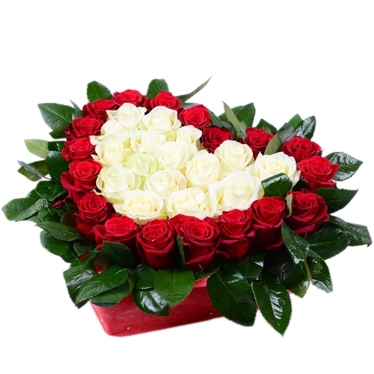 Heart with roses, Kolomyja