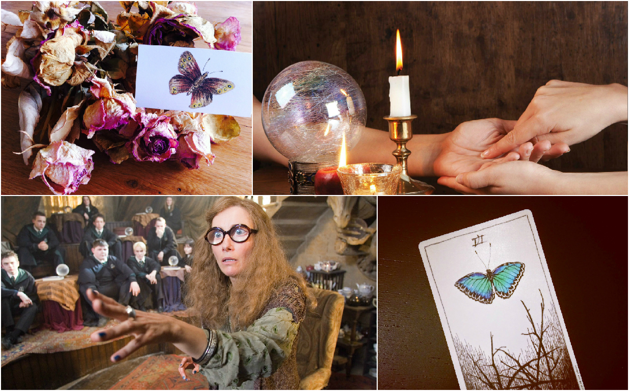Divination by flowers Divination by flowers