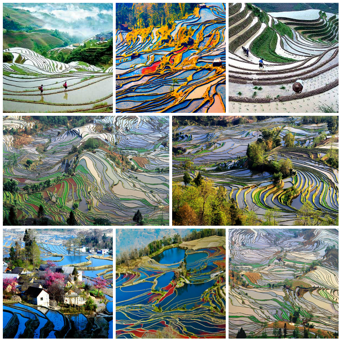 Top 10 Unusual Places on the Planet - Rice Terraces