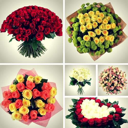 Почему женщины так любят розы? Почему женщины так любят розы?