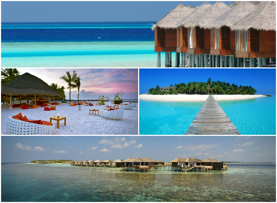 Maldives Maldives