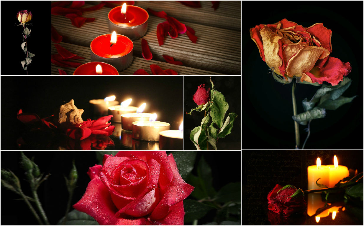 Divination by flowers Divination by flowers