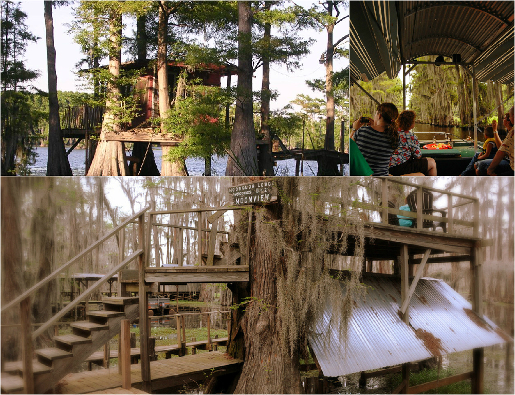 Caddo lake Caddo lake