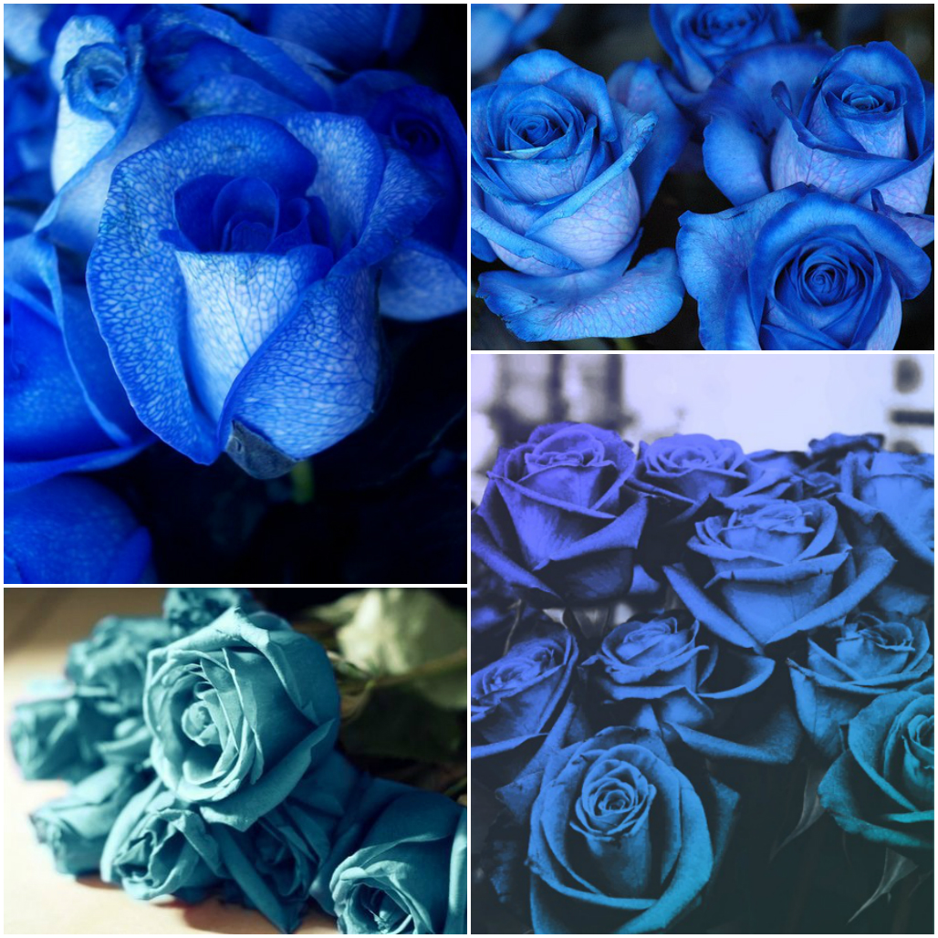 Amazing Flowers That Do Not Exist in Nature