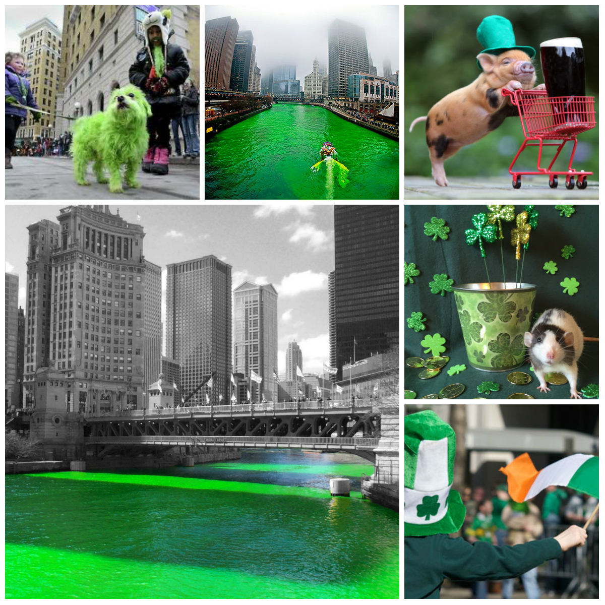 10 Shades of Green, or Interesting Facts about St. Patrick’s Day