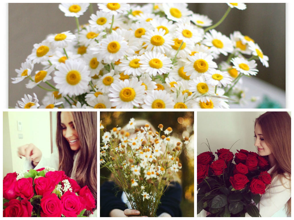 Flowers and Nature or Analyzing What She Likes