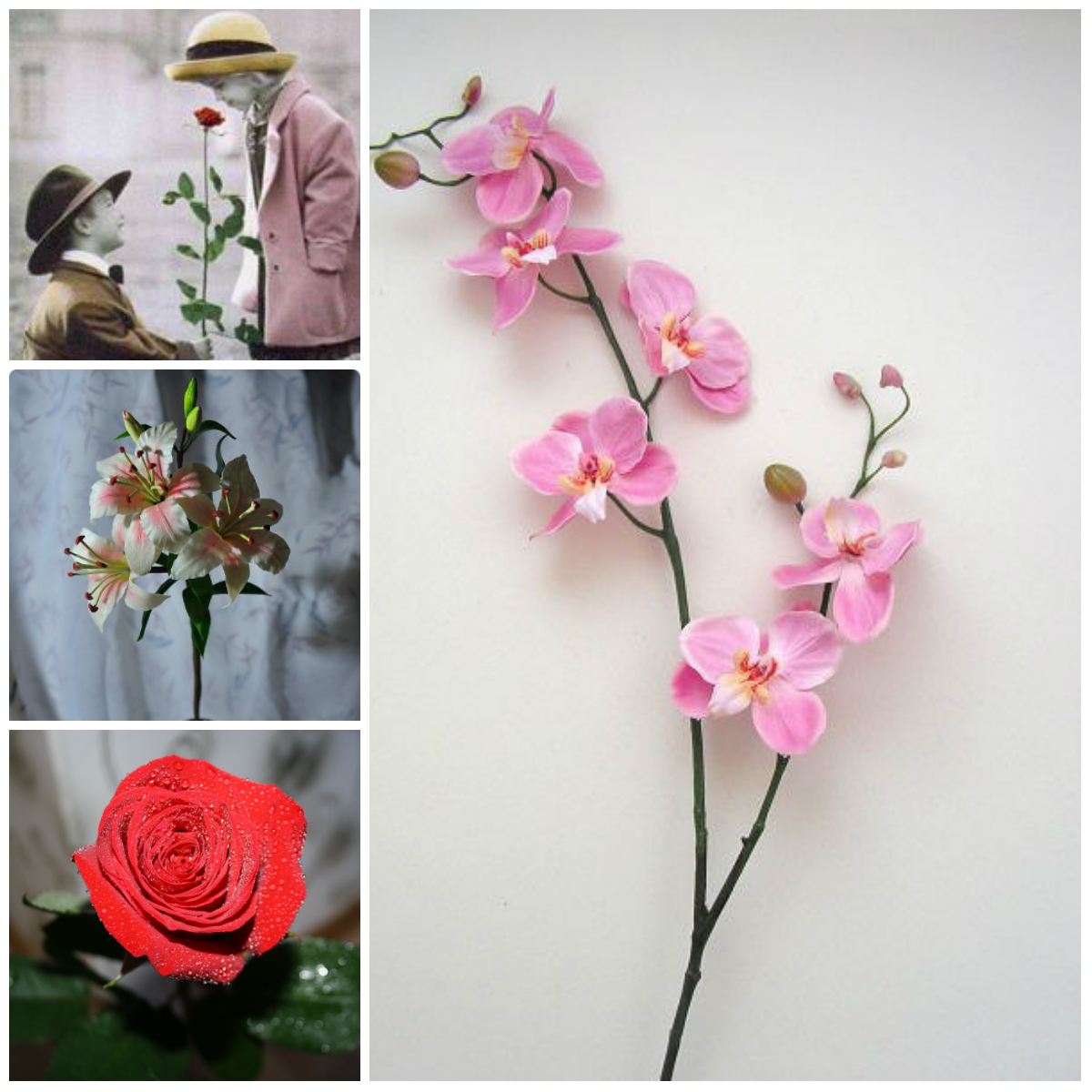 One flower or one million scarlet roses?