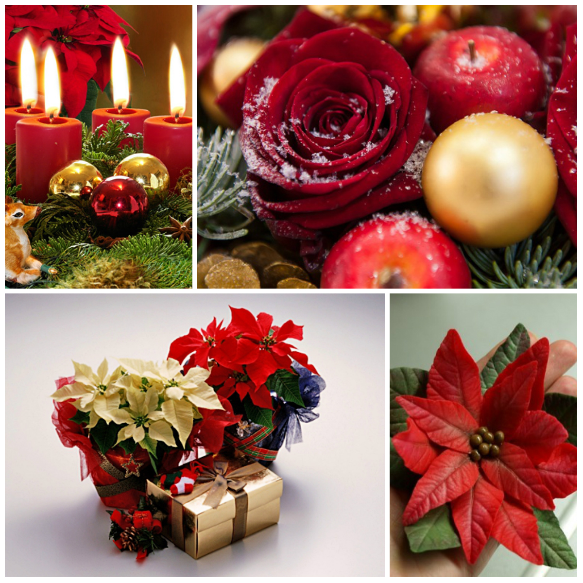 Flowers in the New Year Decor