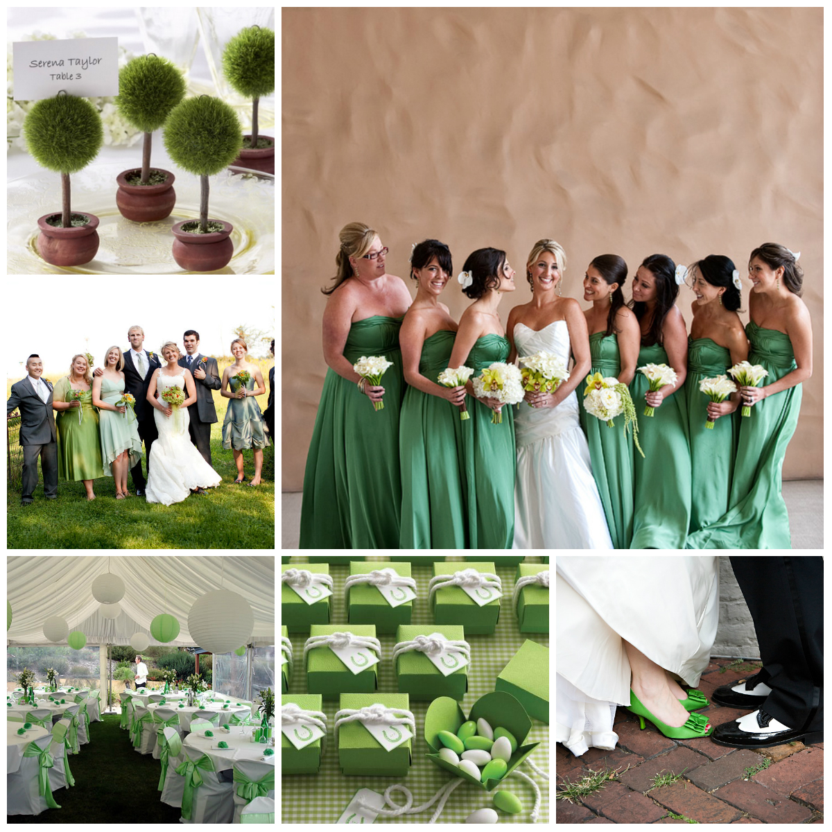 Green wedding - the best ideas for a celebration