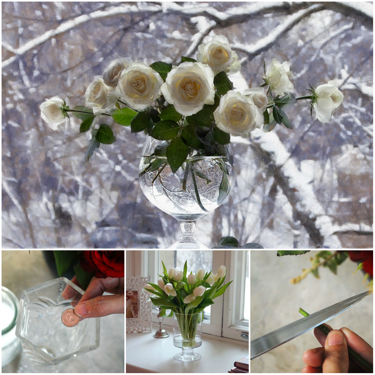 How to Choose and Preserve Flowers in Winter
