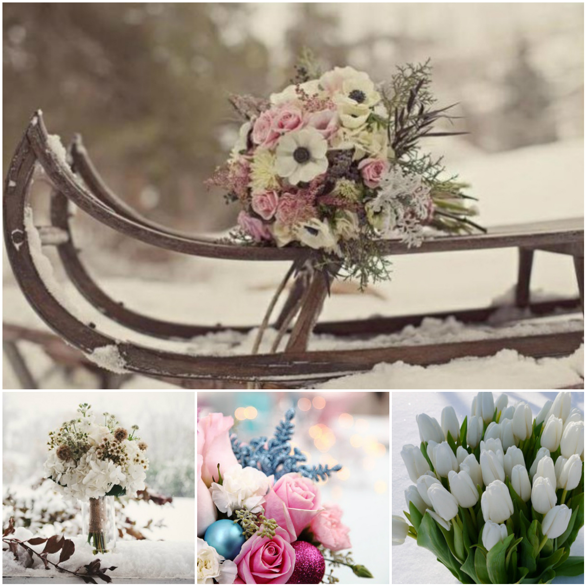 How to Choose and Preserve Flowers in Winter