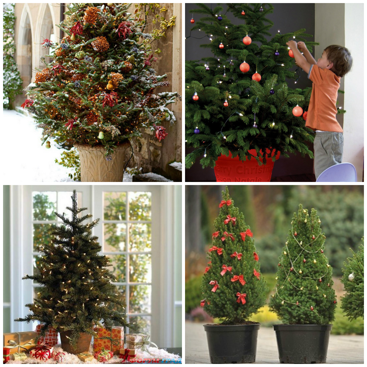 How to Replace a Christmas Tree: 7 Creative Ideas