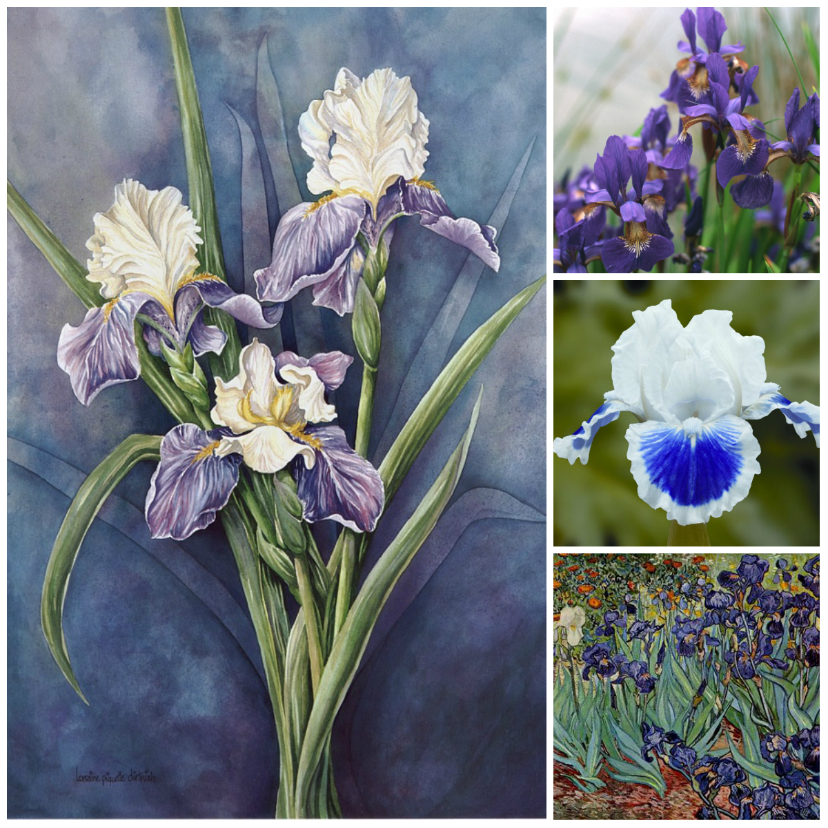 Legends About the Origin of Flowers (Part 2)
