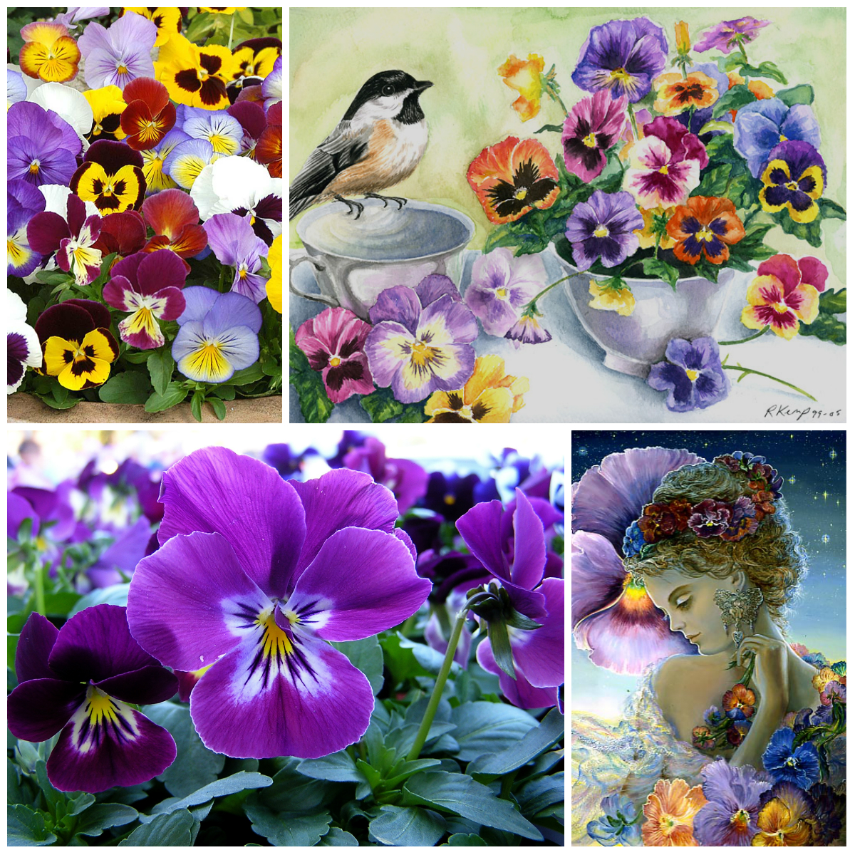 Legends About the Origin of Flowers (Part 2)