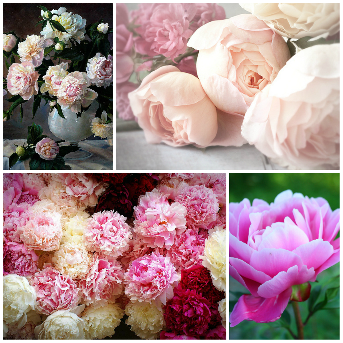 Legends About the Origin of Flowers (Part 1)