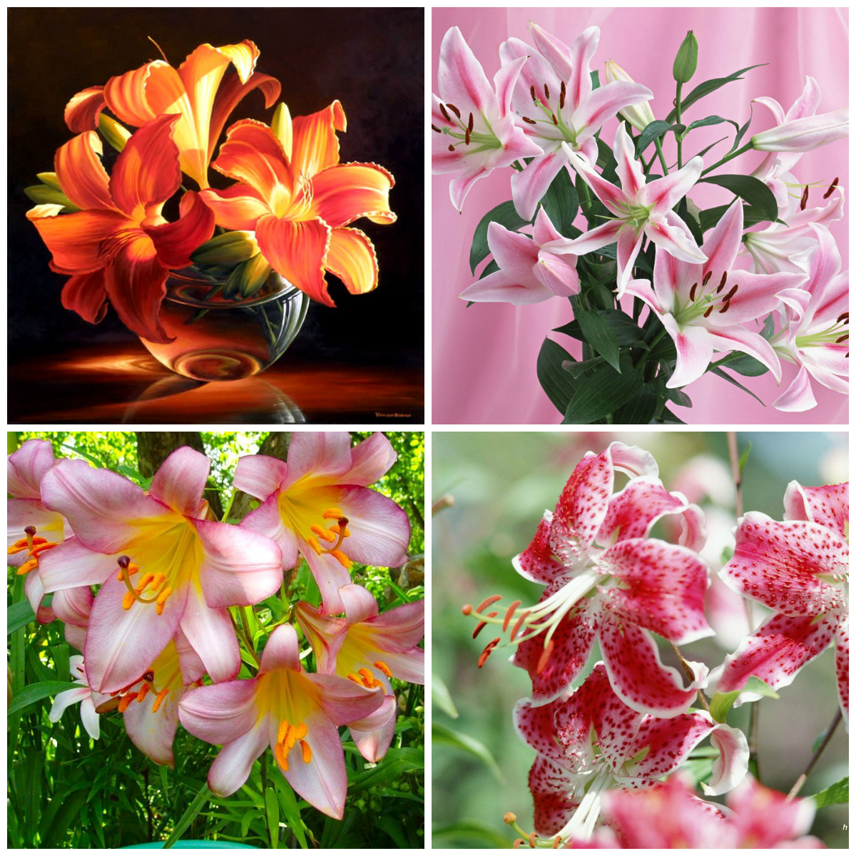 Legends About the Origin of Flowers (Part 1)