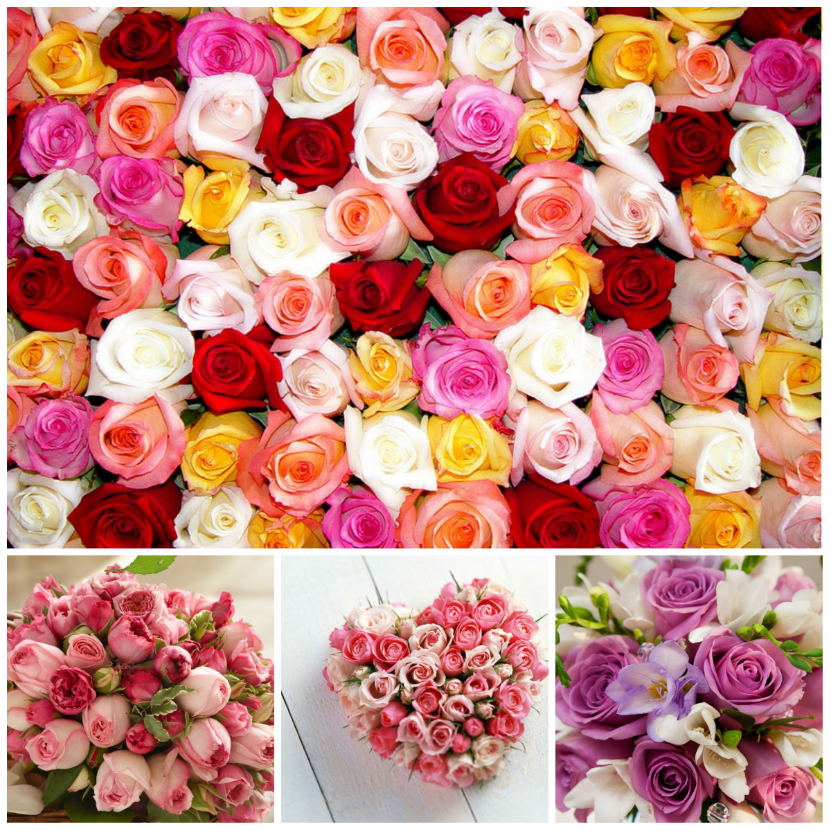 Legends About the Origin of Flowers (Part 1)