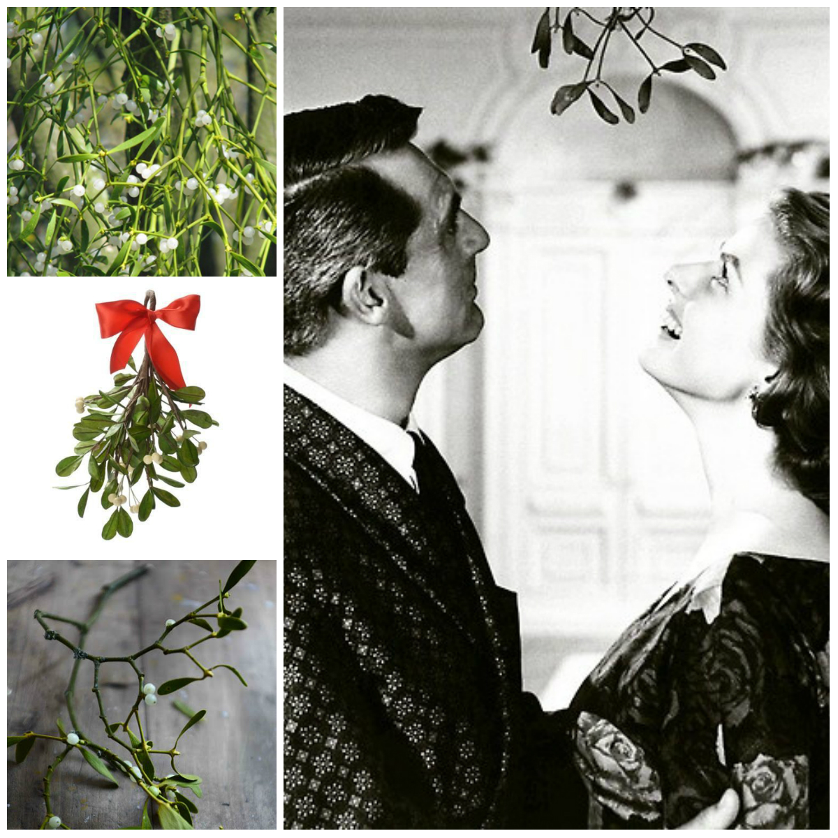 Mistletoe: the Symbolism of Plant and Christmas Traditions