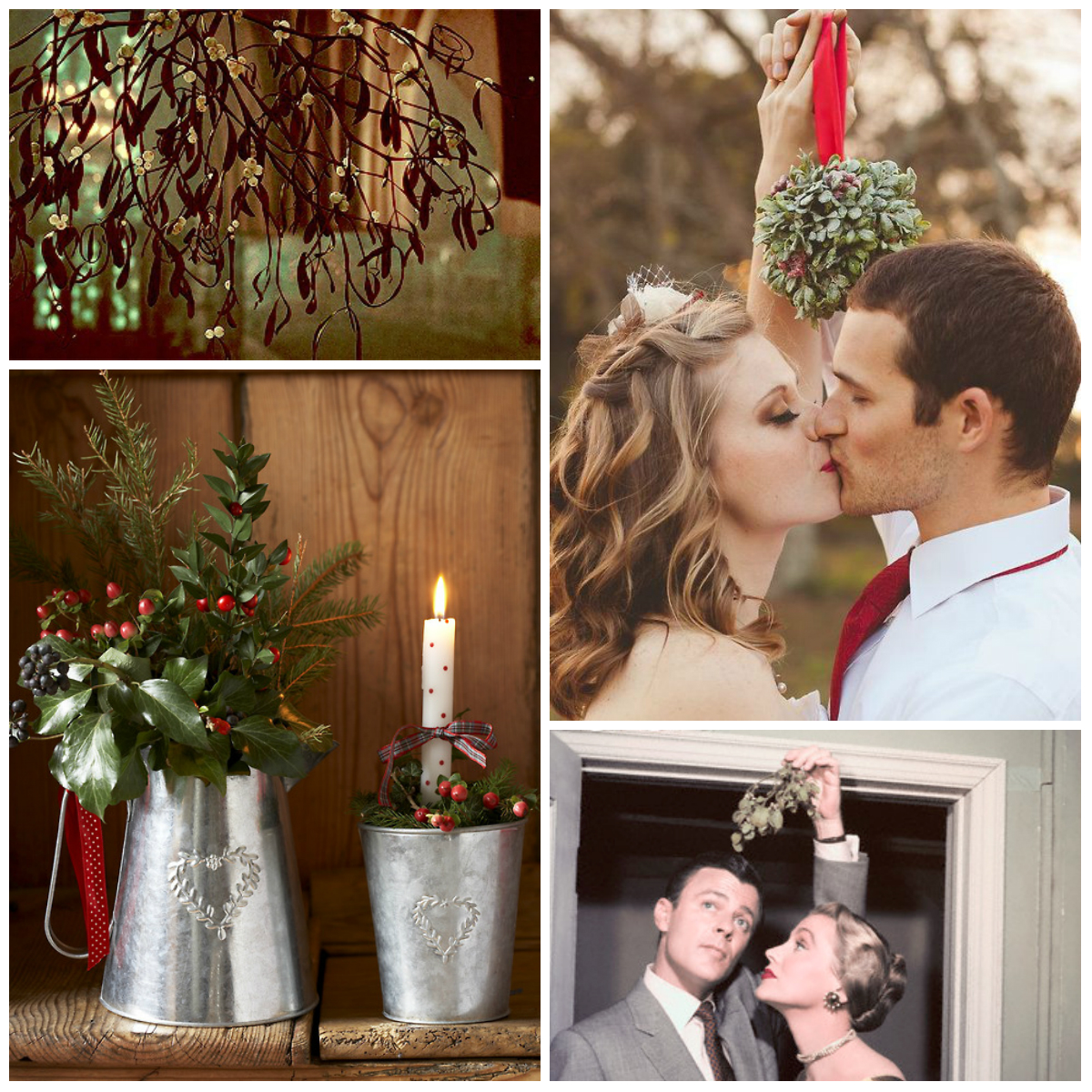 Mistletoe: the Symbolism of Plant and Christmas Traditions