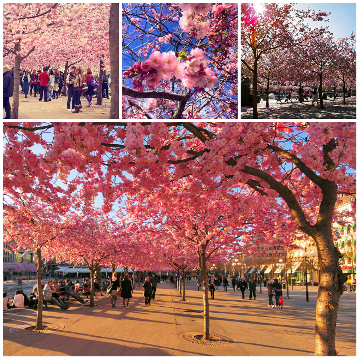 The Most Beautiful Streets in the World