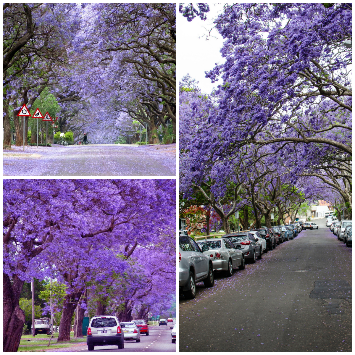 The Most Beautiful Streets in the World