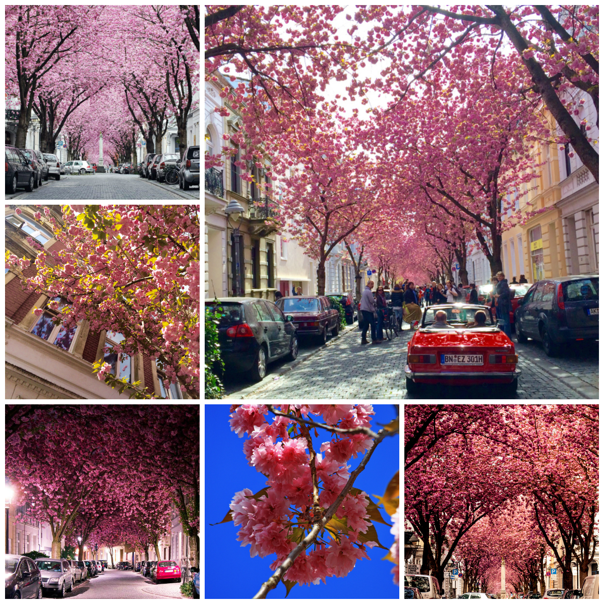 The Most Beautiful Streets in the World