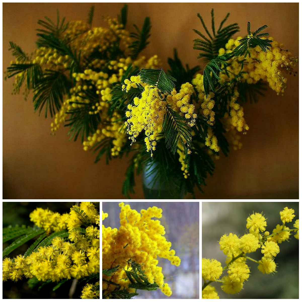 The Most Fragrant Flowers in the World