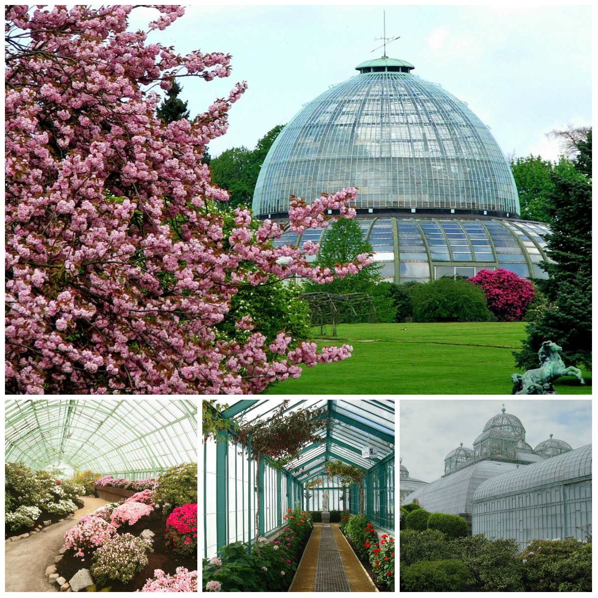 Royal greenhouses in Belgium