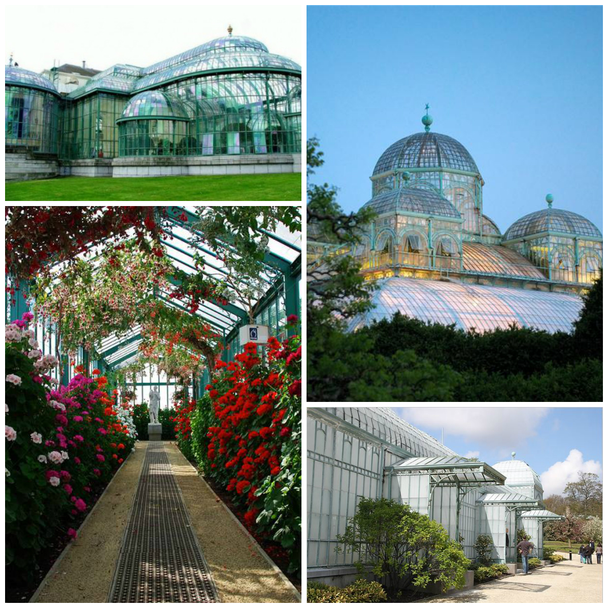 Royal greenhouses in Belgium