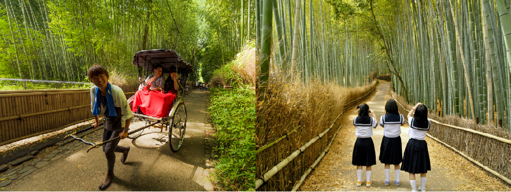 Sagano Bamboo Forest Sagano Bamboo Forest