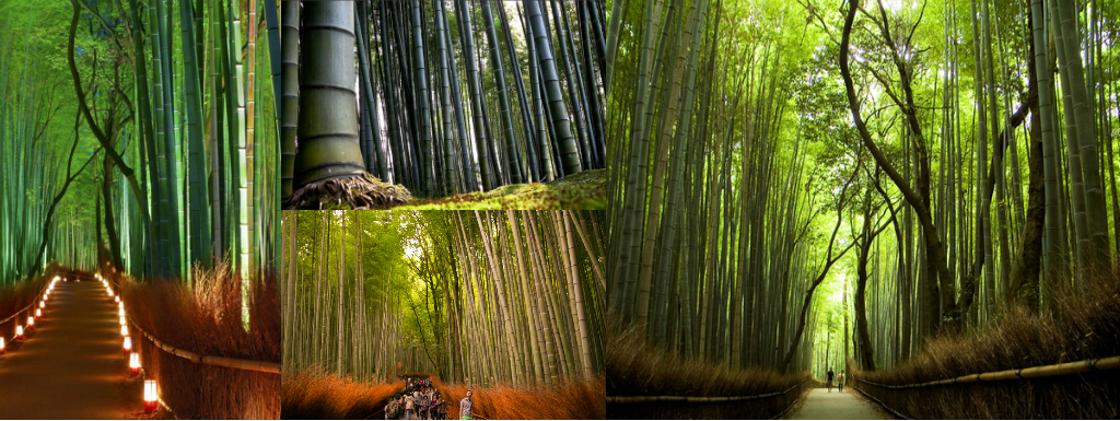 Sagano Bamboo Forest Sagano Bamboo Forest
