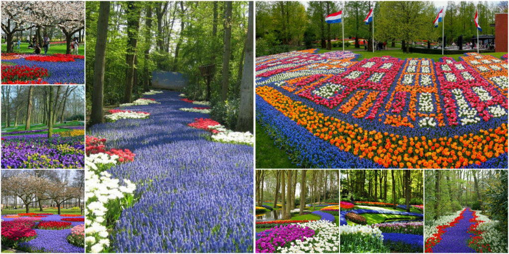 The Most Beautiful Gardens of the World