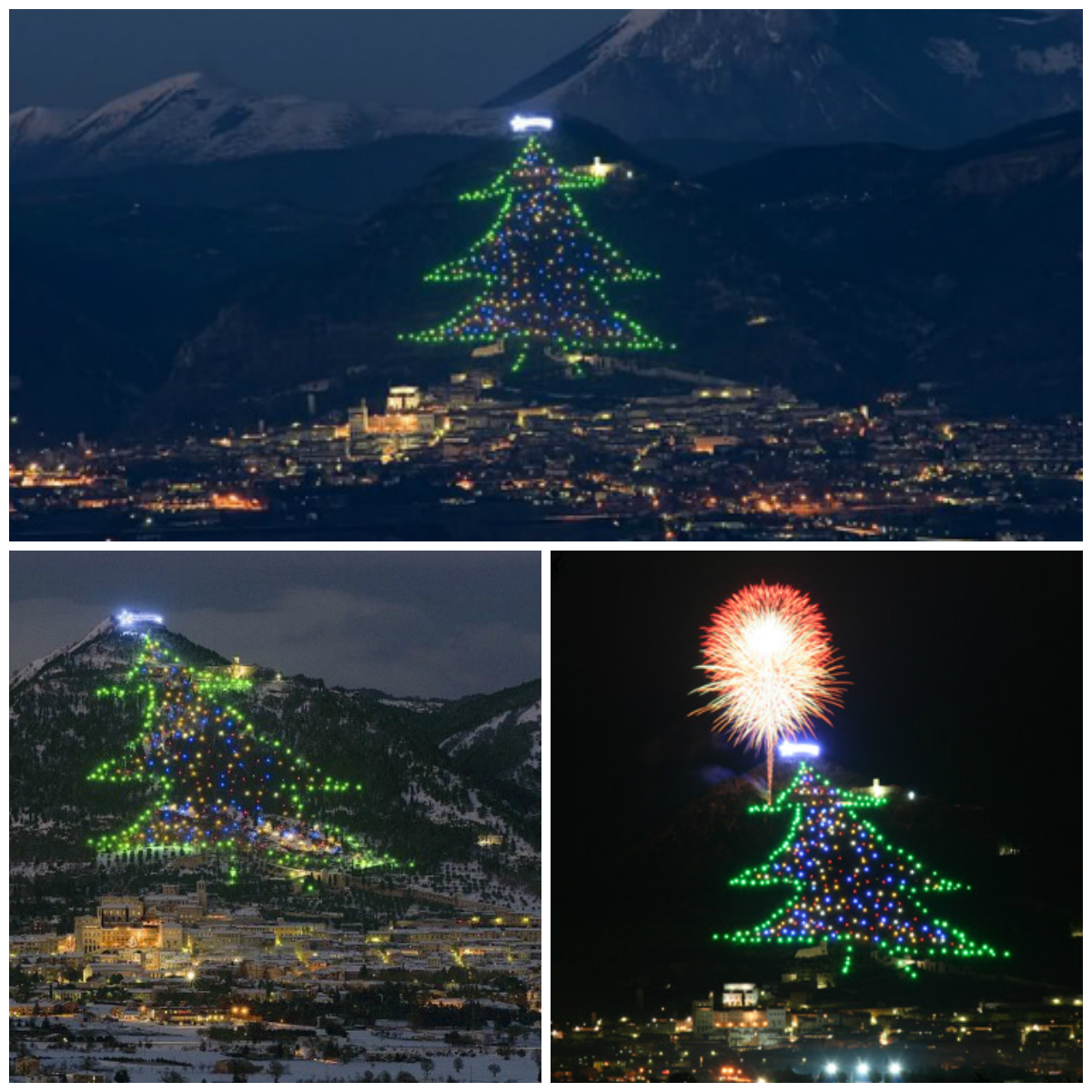 The Most Unusual Christmas Trees