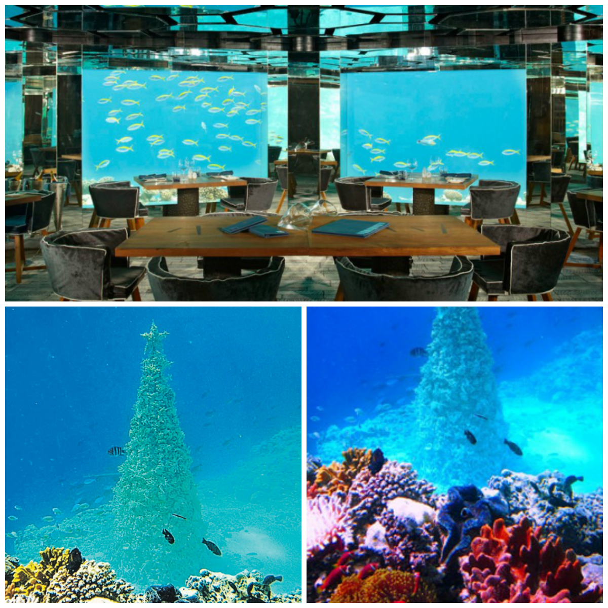 The Most Unusual Christmas Trees