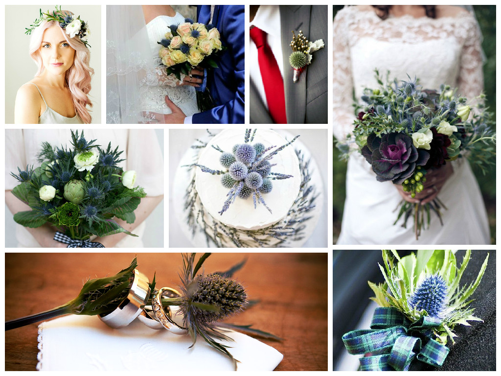 thistle in wedding decore thistle in wedding decore