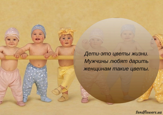 Афоризмы и высказывания о цветах. Красивые открытки Афоризмы и высказывания о цветах. Красивые открытки