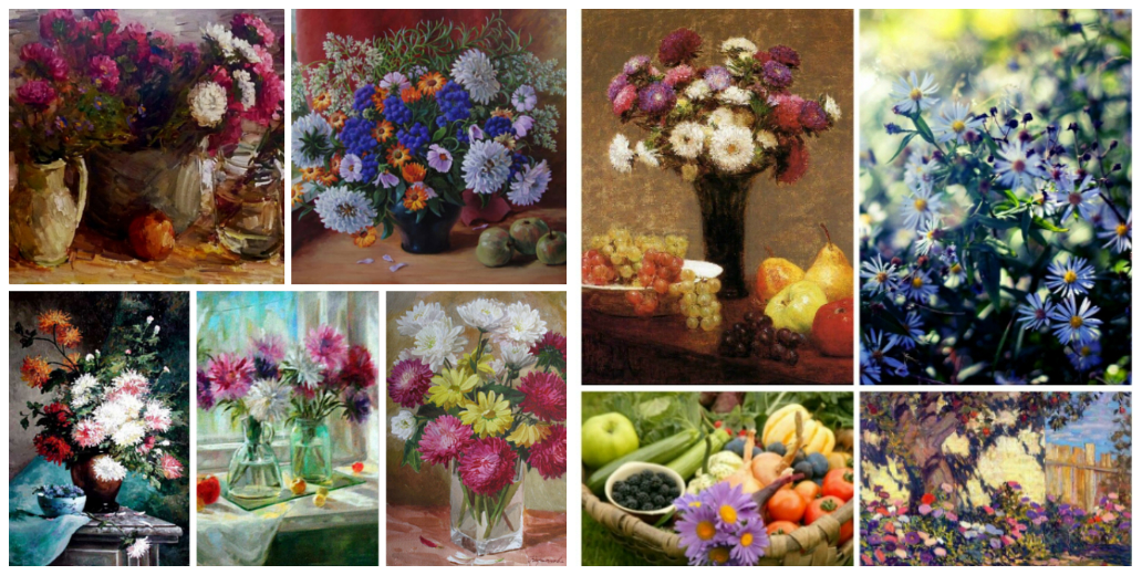 Астра: цветок и его тайны