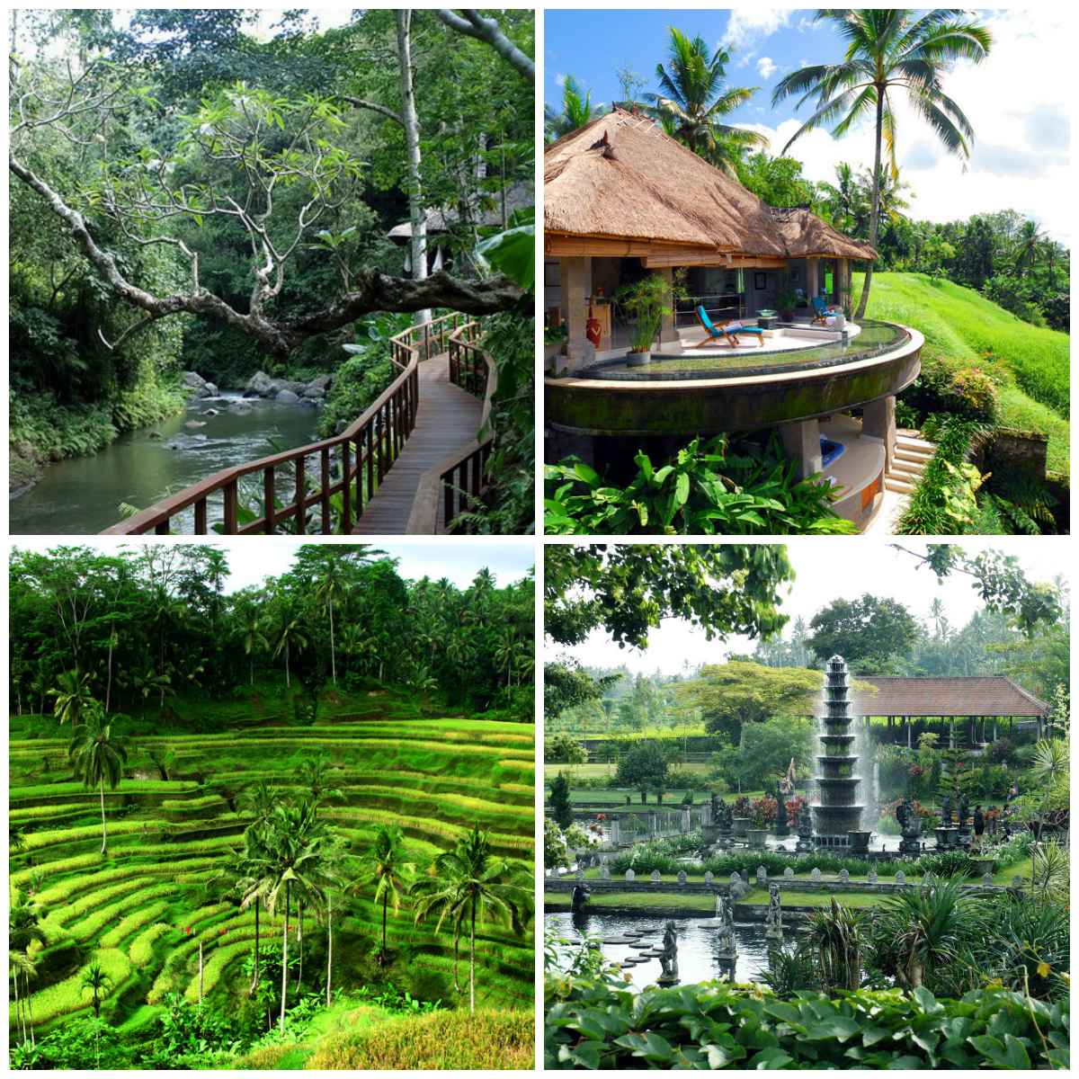 Divine Bali - Your Dream Vacation