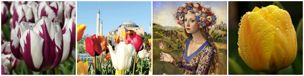 Bouquet of Tulips: Legends and Meaning