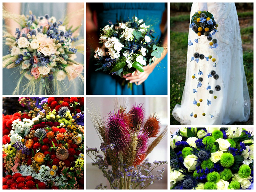 bouquets of thistle bouquets of thistle