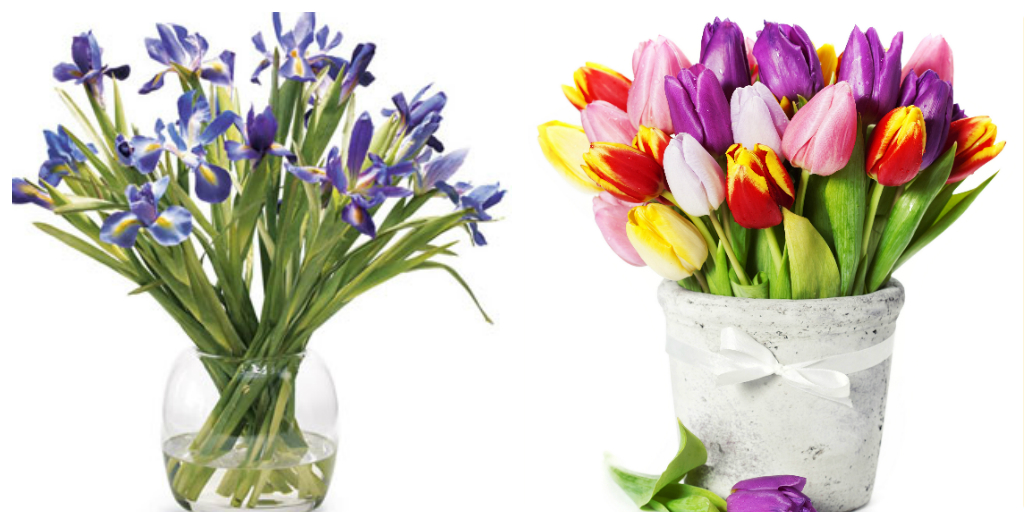 Букет, который не вянет - ирис, тюльпаны