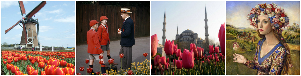 Букет тюльпанов: легенды и значение