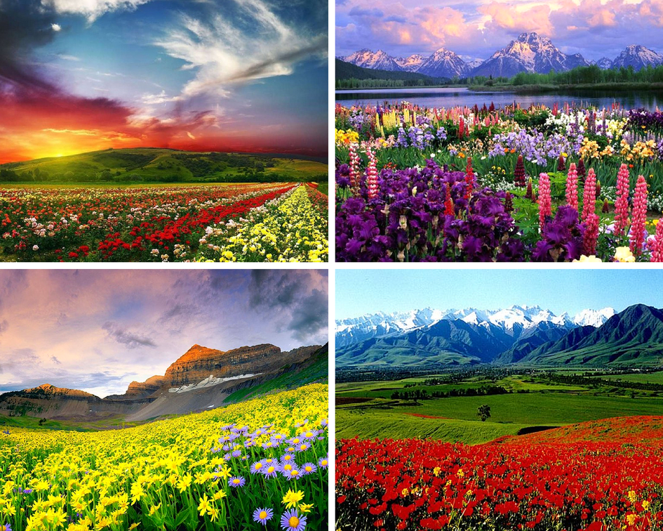 Цветочные традиции Индии