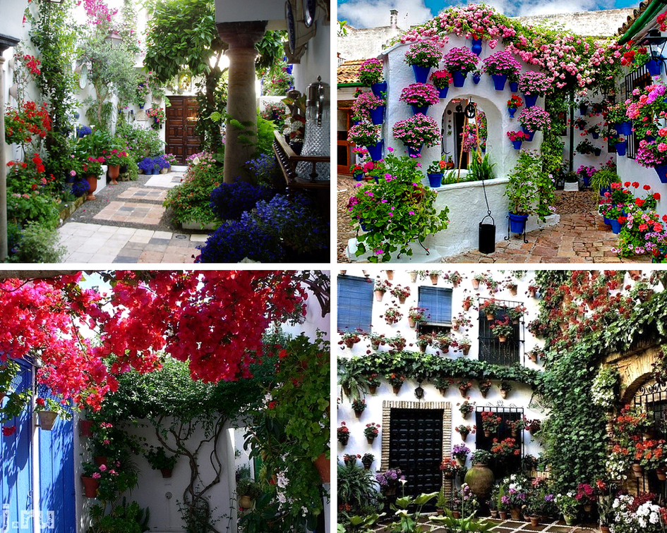 Цветочные традиции Испании